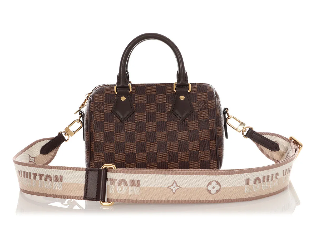 Louis Vuitton Damier Ebne Speedy 20