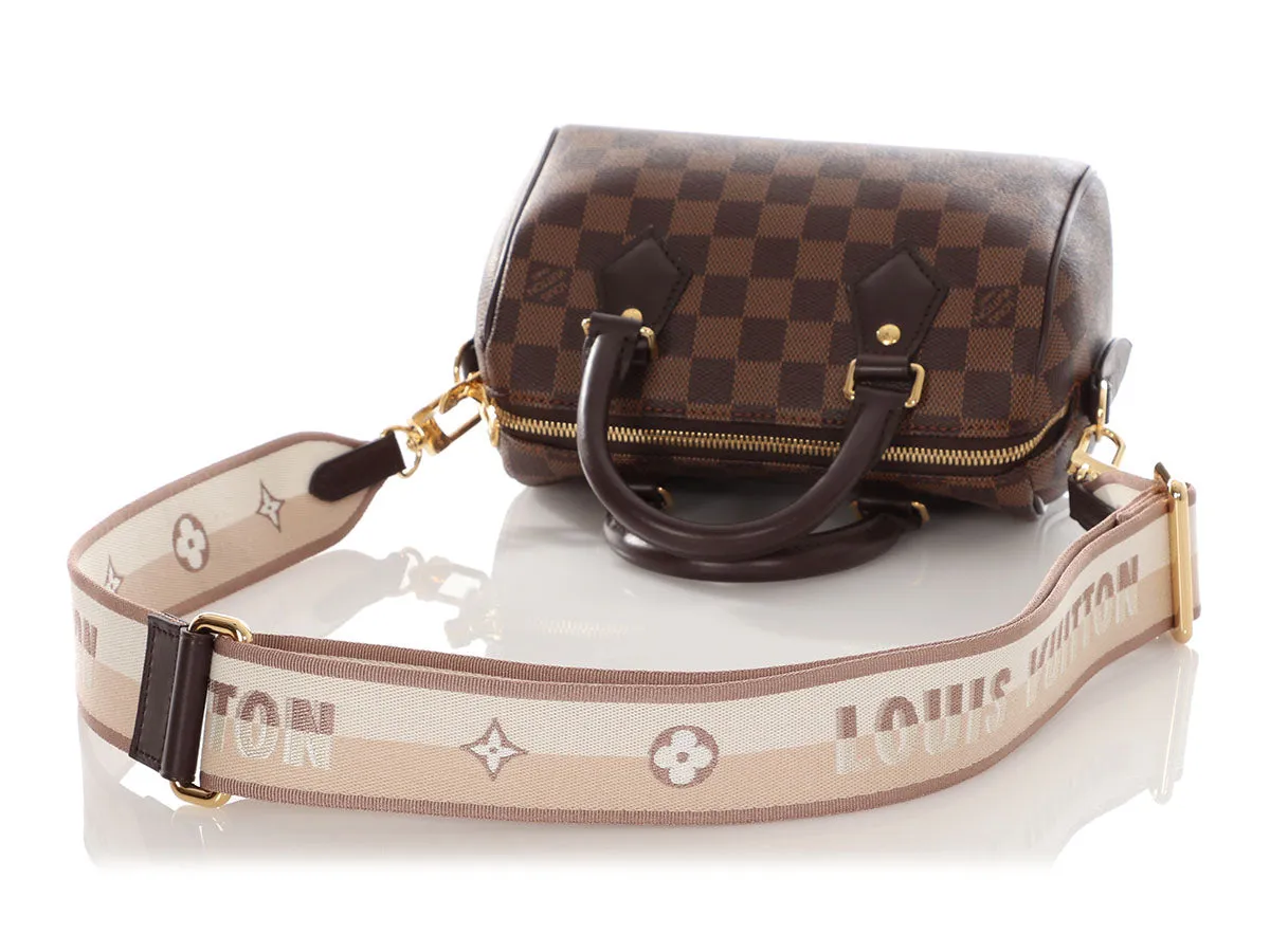 Louis Vuitton Damier Ebne Speedy 20