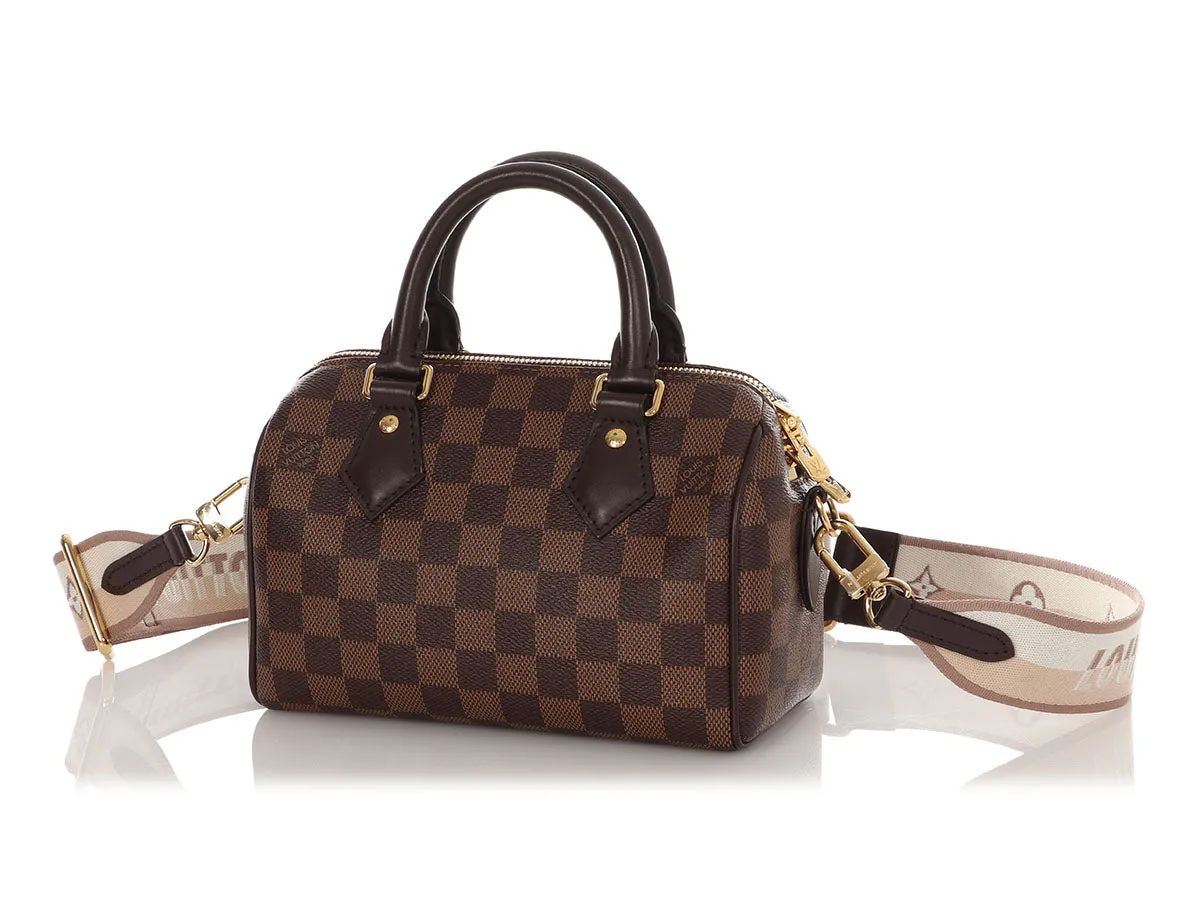 Louis Vuitton Damier Ebne Speedy 20