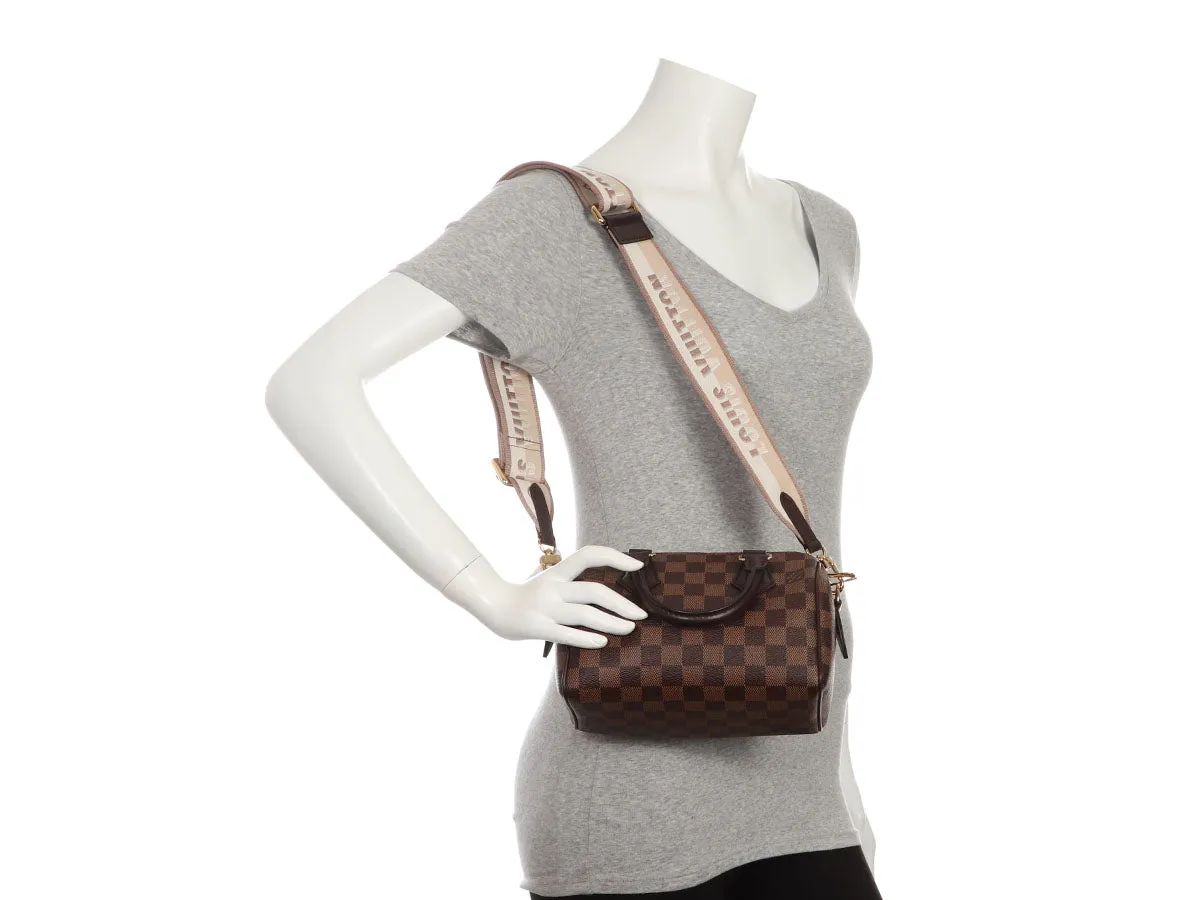 Louis Vuitton Damier Ebne Speedy 20
